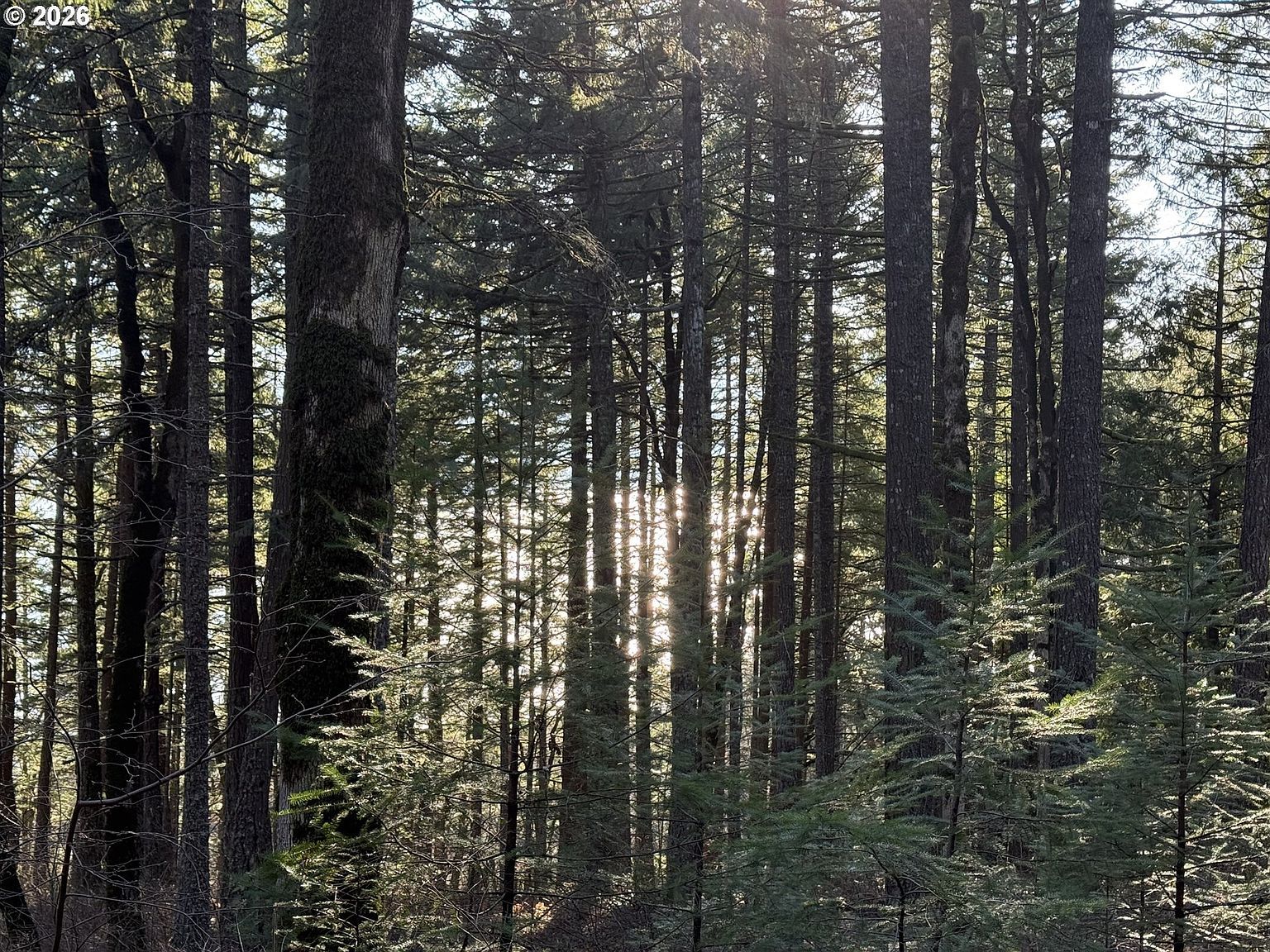 Seward Rd Carson, WA 98610 - Thumbnail 5