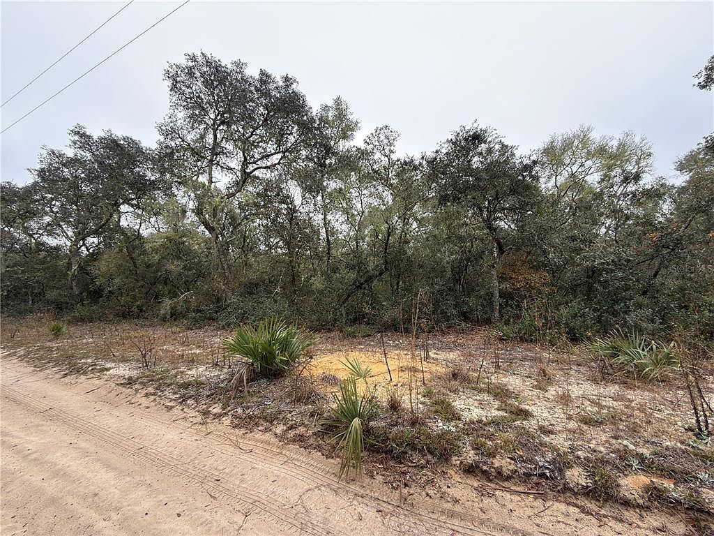 NE 234th Pl LOT 19 Fort Mc Coy, FL 32134 - Thumbnail 5