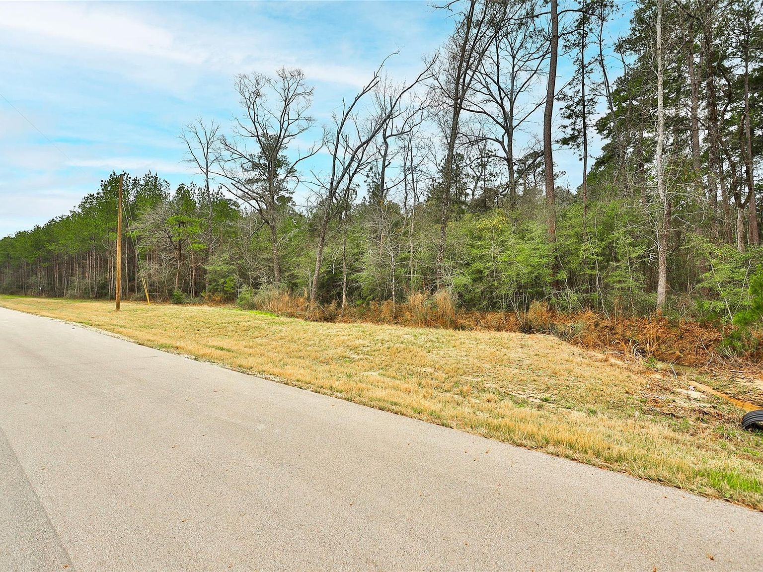 0 Larkspur Ln New Waverly, TX 77358 - Thumbnail 5