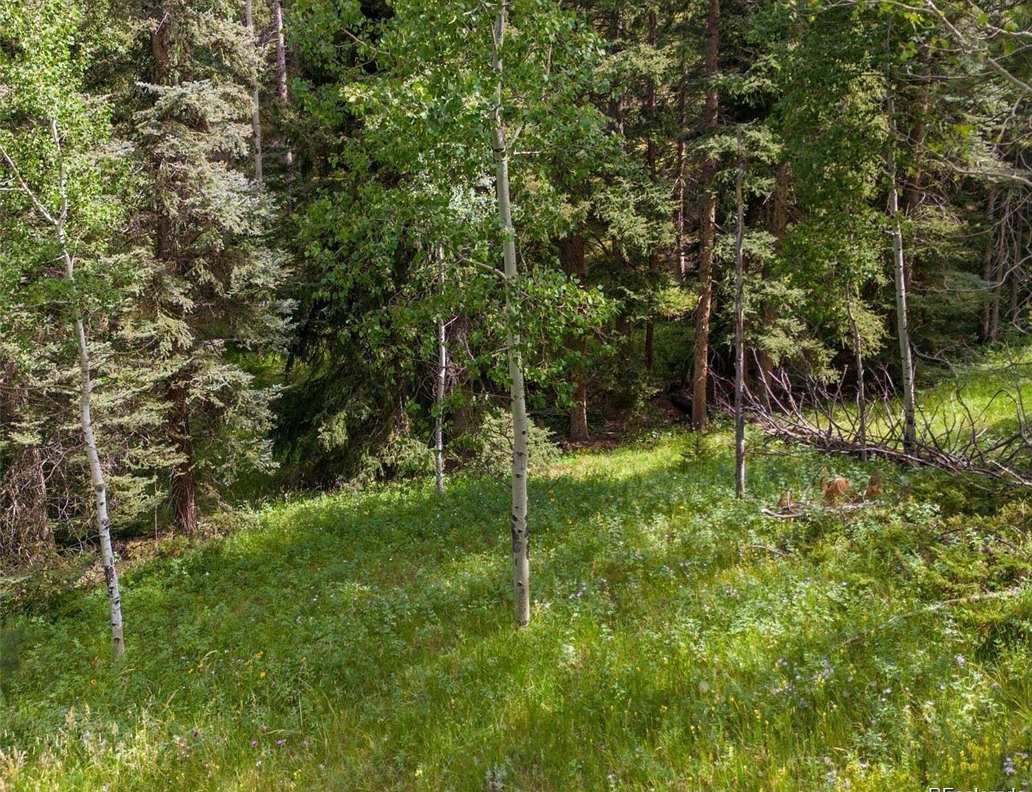 28380 Pine Trl Conifer, CO 80433  | Land/Lot