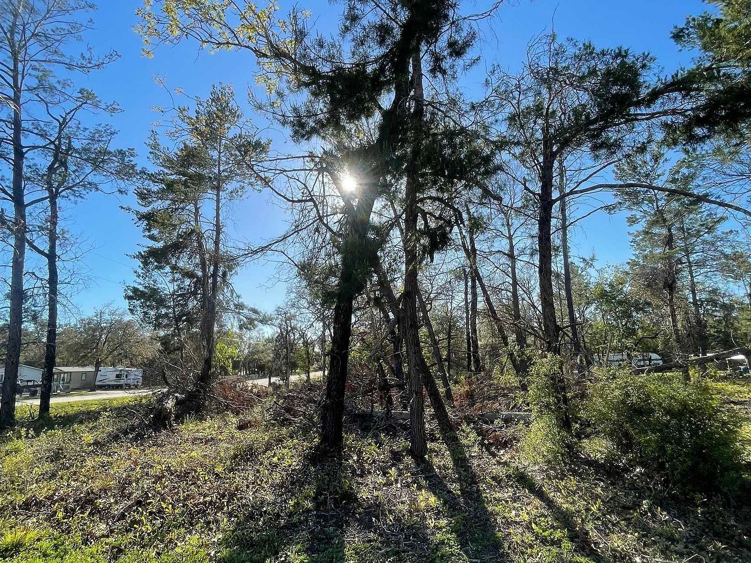 0 Reed Dr Perry, FL 32348 - Thumbnail 5