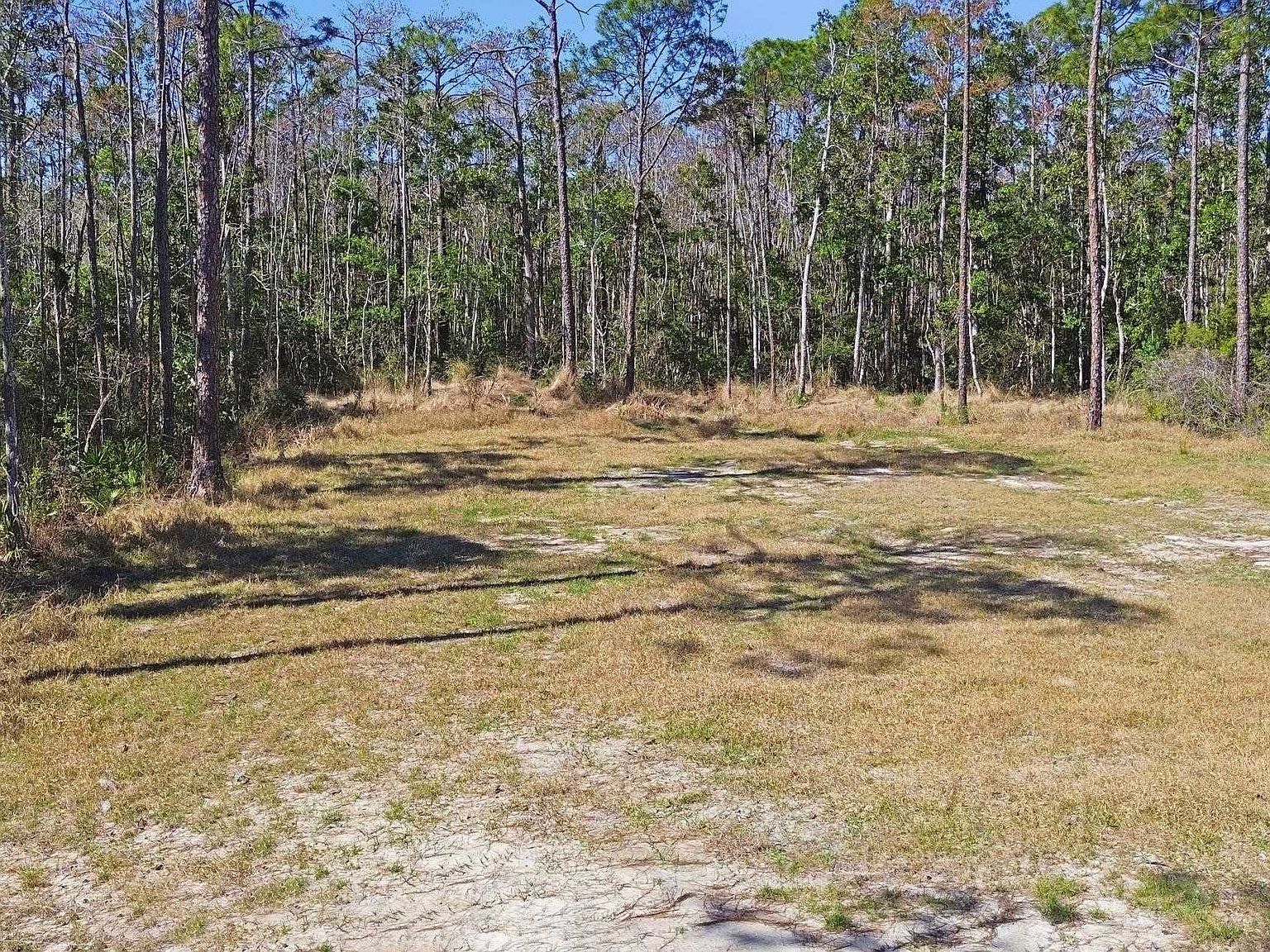 Jody Morgan Rd Perry, FL 32348 - Thumbnail 5