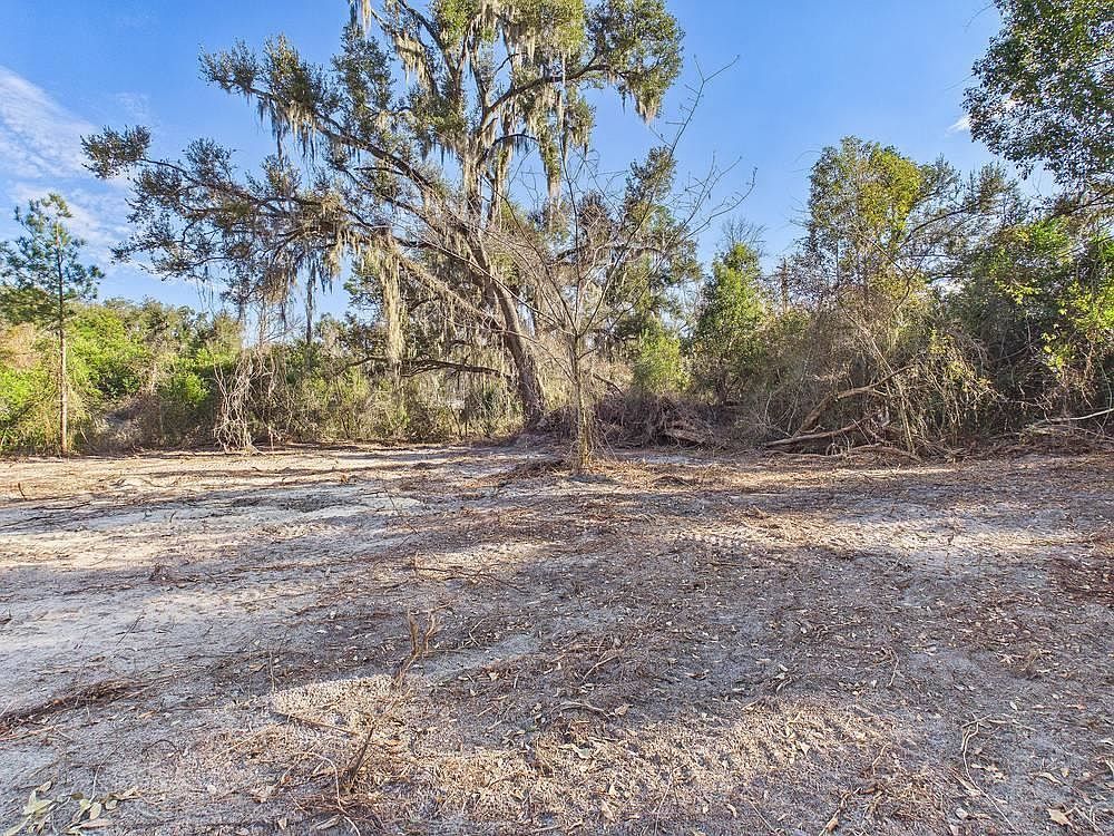 Shady Oaks Dr Perry, FL 32348 - Thumbnail 5