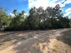 529 Madison St Elgin, TX 78621 - Thumbnail 5