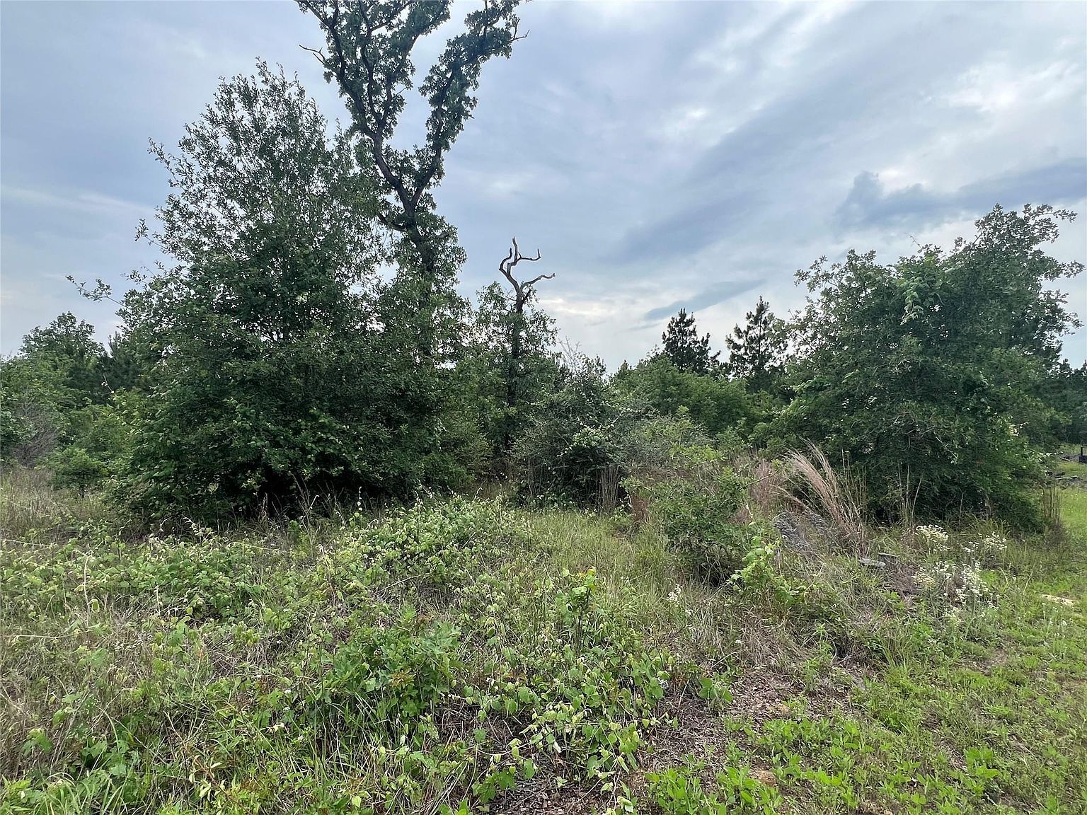 Blue Jay Rd Bastrop, TX 78602 - Thumbnail 5