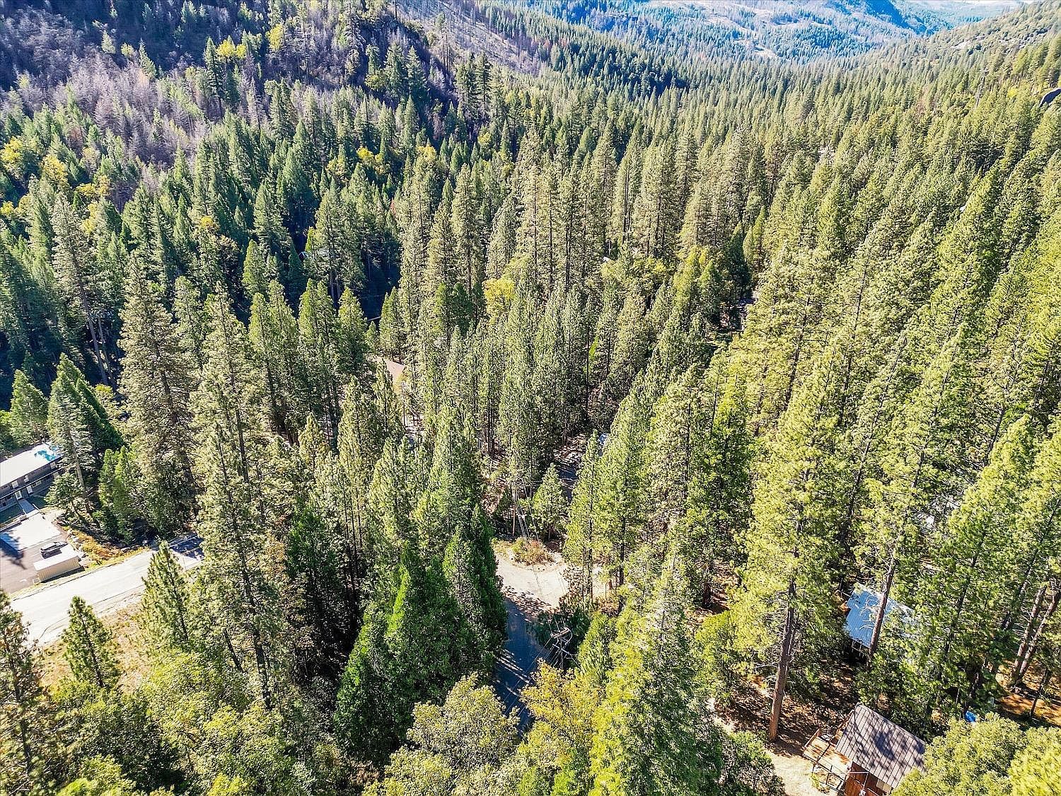 13651 Us Highway 50 Kyburz, CA 95720 | Land/Lot