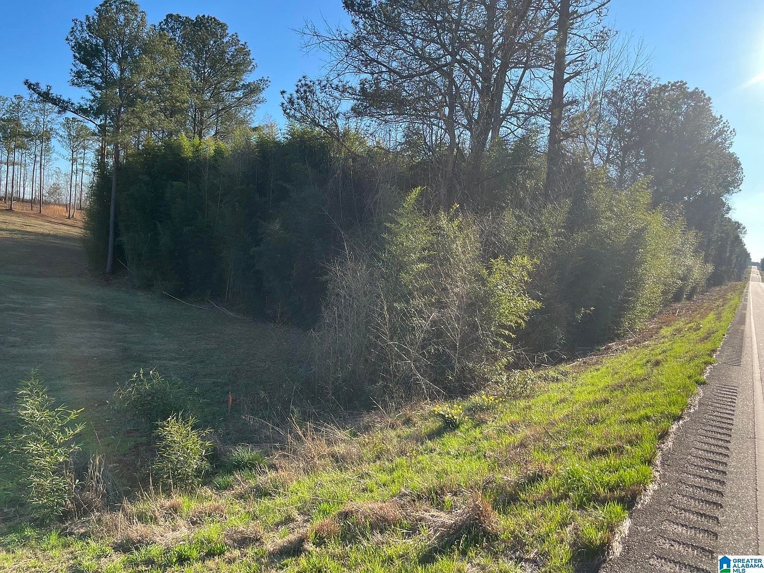 50864 Highway 22 Tract #1 Wadley, AL 36276  | Land/Lot