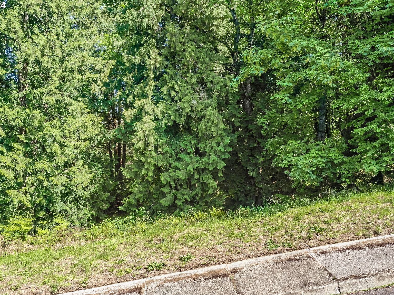 SE Duke St Portland, OR 97236 - Thumbnail 5