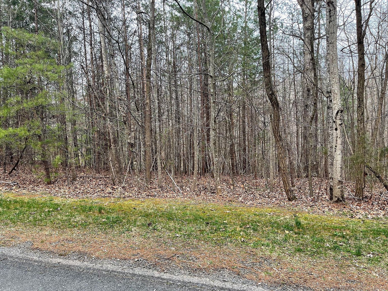 LOT-70A Boxwoodgreen Dr Wirtz, VA 24184 - Thumbnail 5