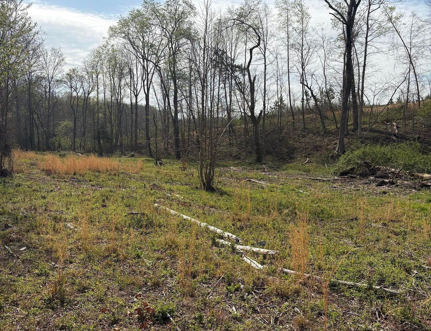 706 Arwine Rd Decatur, TN 37322 - Thumbnail 5