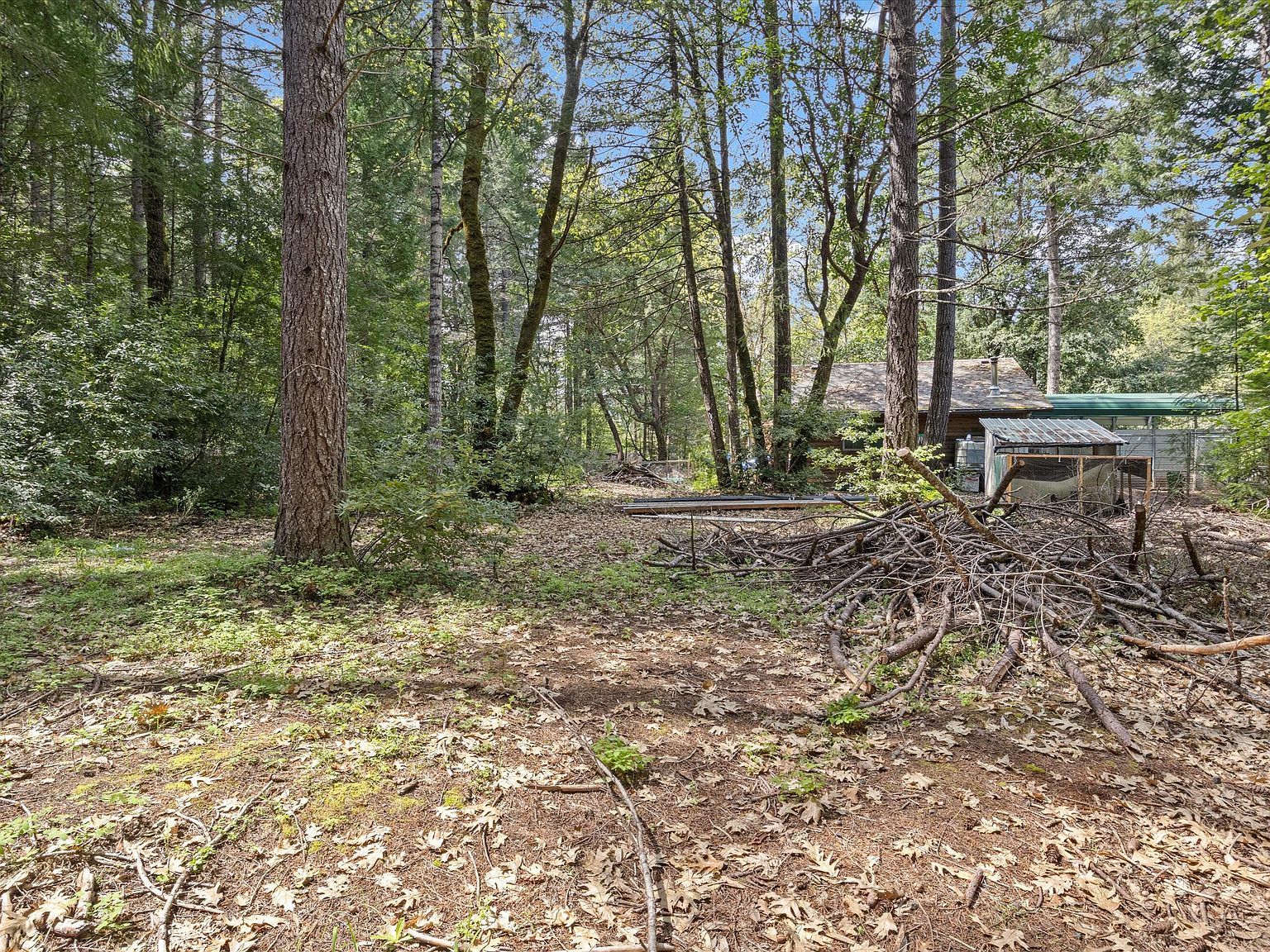 461 Stage Stop Dr Cave Junction, OR 97523 - Thumbnail 5