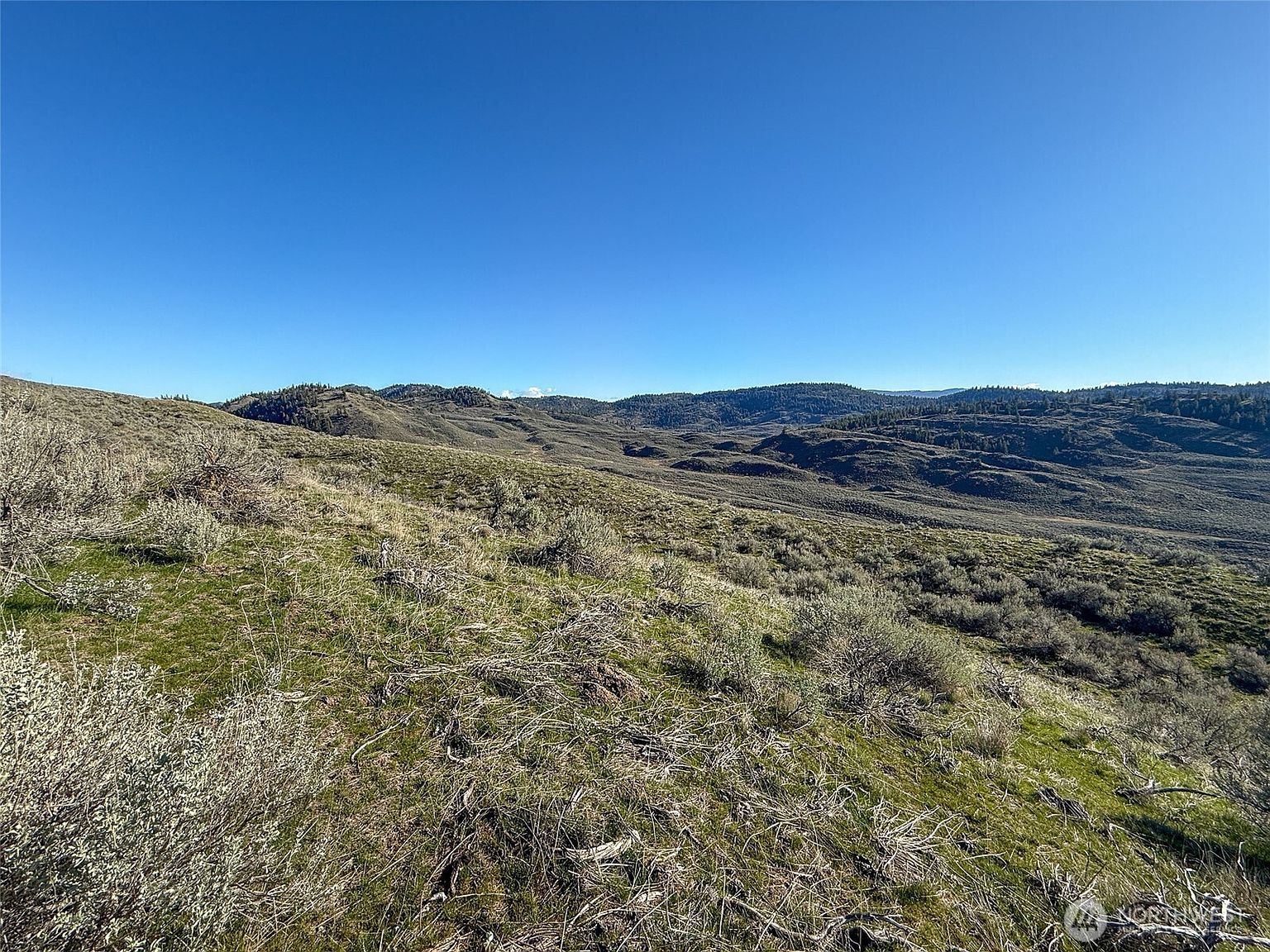 0 Whiterock Rd Oroville, WA 98844 - Thumbnail 5