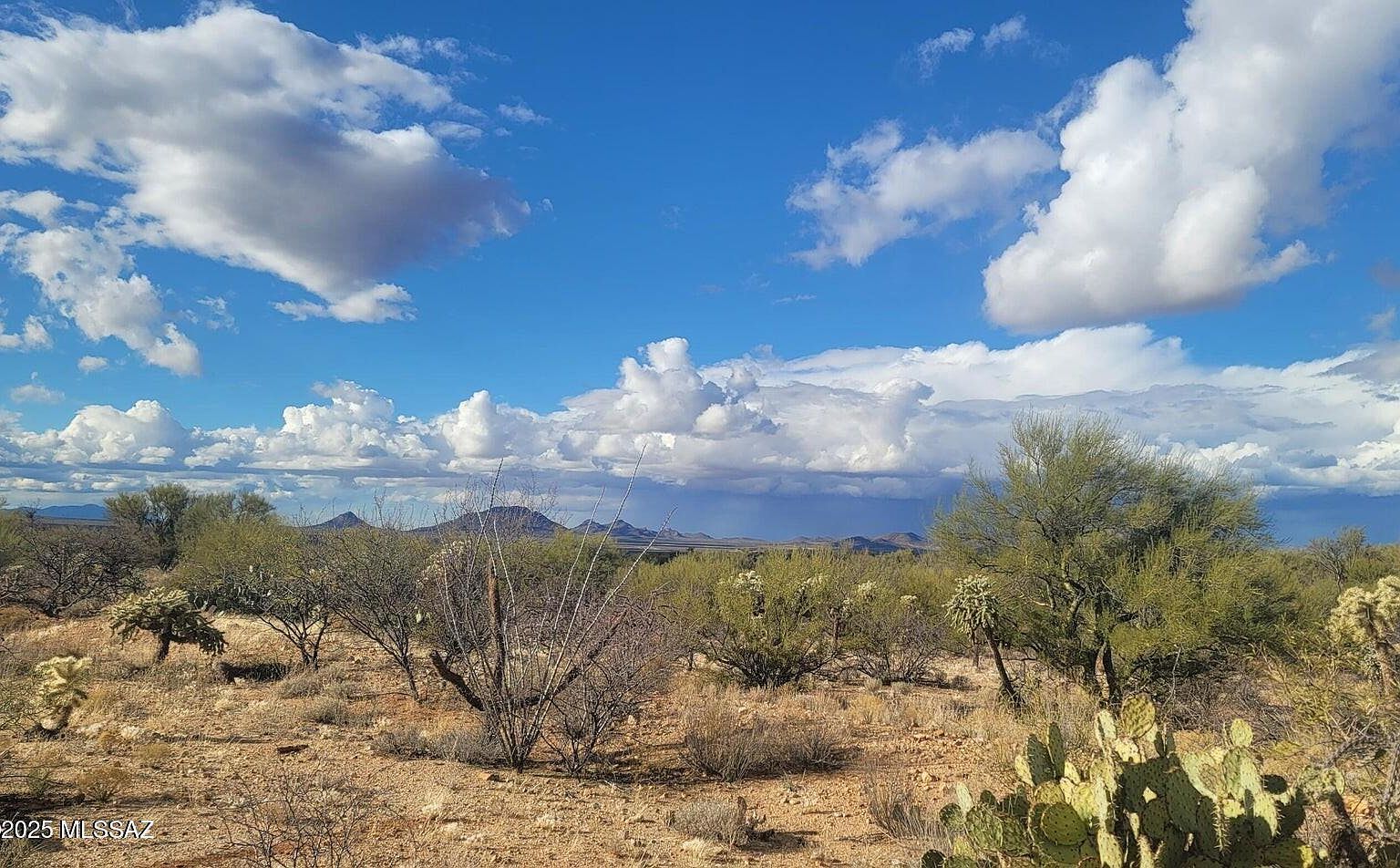 16252 W Pyle Rd #106 Tucson, AZ 85736 - Thumbnail 5