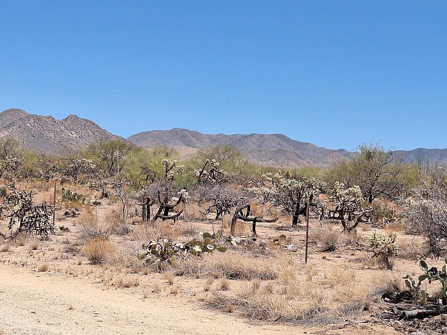 14465 S Ezra Pl #358 Tucson, AZ 85736 - Thumbnail 5