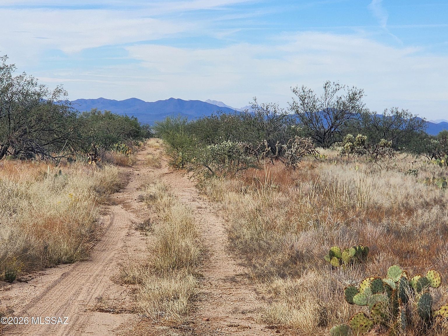 15035 S Muldoon Ave #115 Tucson, AZ 85736 - Thumbnail 5