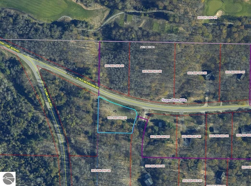LOT 5 E Old Mountain Rd Cedar, MI 49621 - Thumbnail 5
