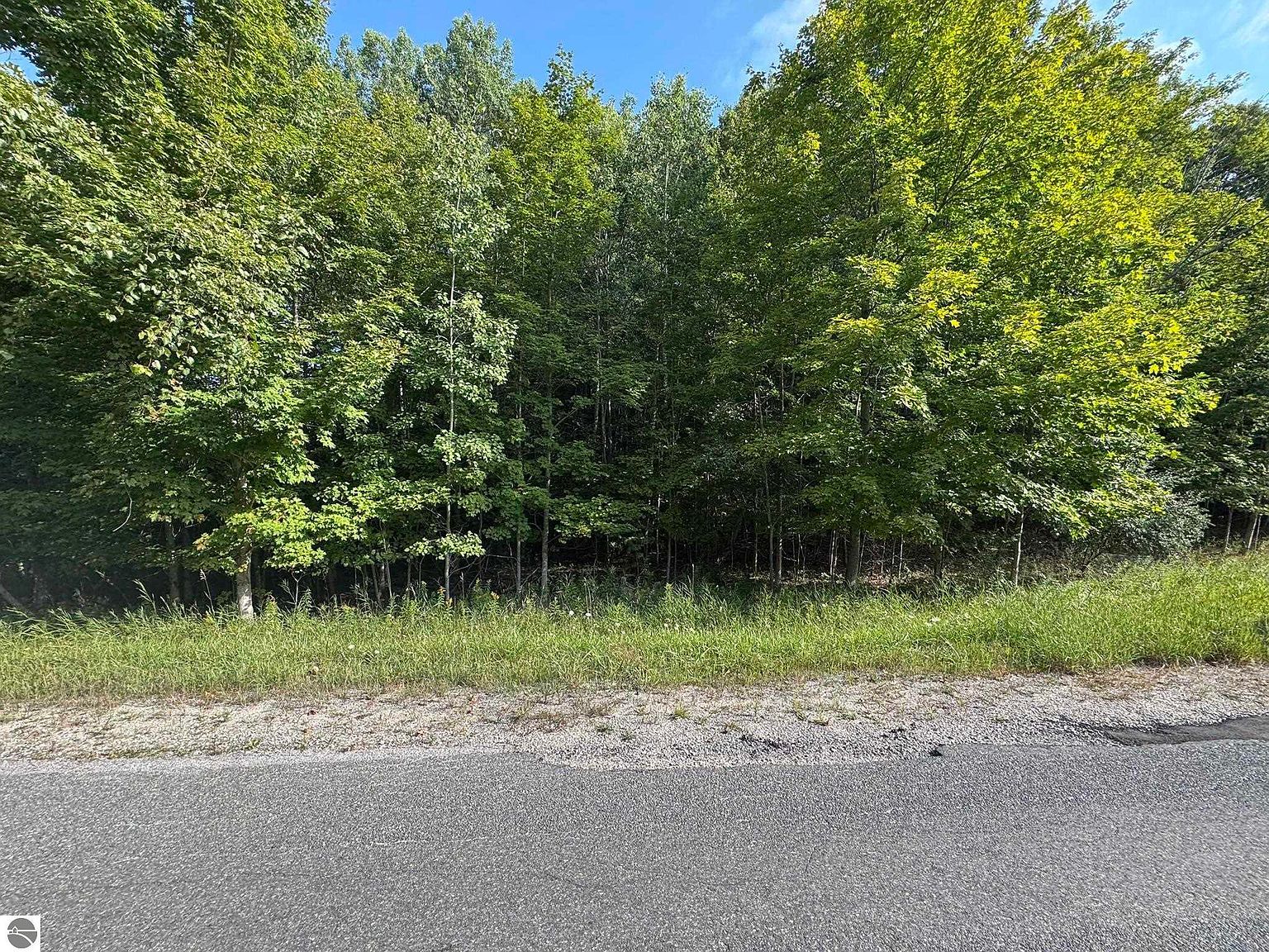 LOT 4 E Old Mountain Rd Cedar, MI 49621 - Thumbnail 5