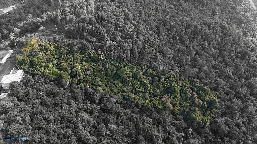 State Highway 715 Km #5.7 Cayey, PR 00736 - Thumbnail 5