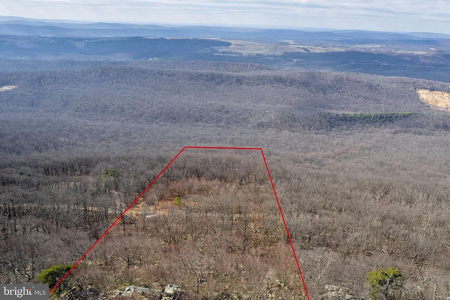 951 Bobcat Trl Winchester, VA 22602 - Thumbnail 5