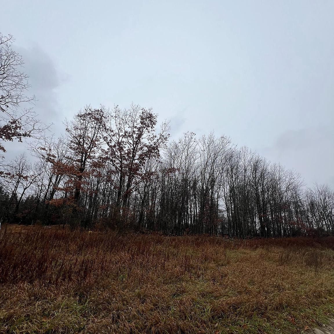 0 University Dr Glen Hope, PA 16645 - Thumbnail 5