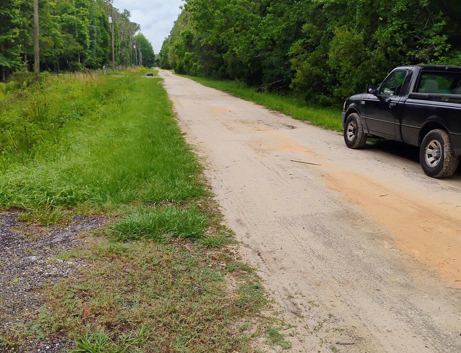 228 Atkins Rd Georgetown, FL 32139 - Thumbnail 5