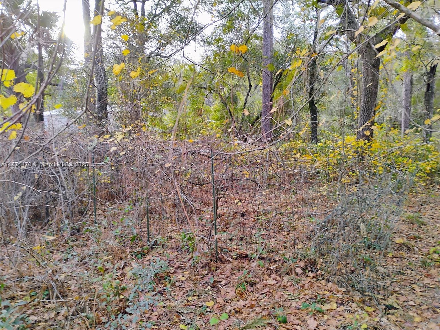 103 Antler Rd Interlachen, FL 32148 - Thumbnail 5