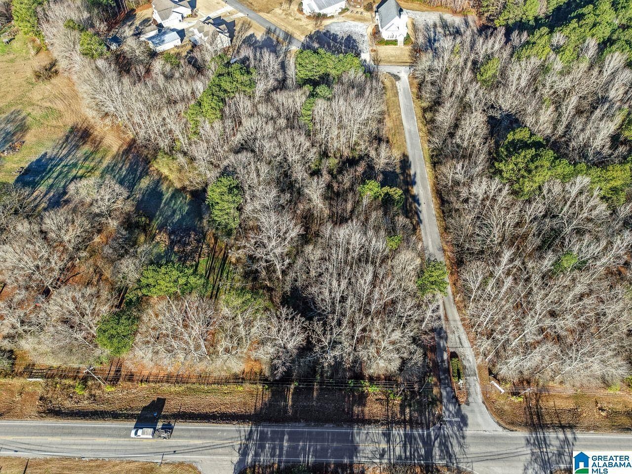 0 Branch Cv #25 Odenville, AL 35120 - Thumbnail 5