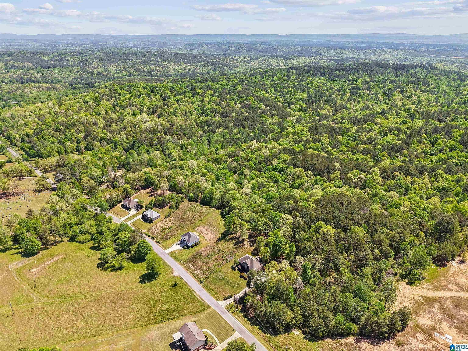1678 Hays Cemetery Rd Hayden, AL 35079 - Thumbnail 5