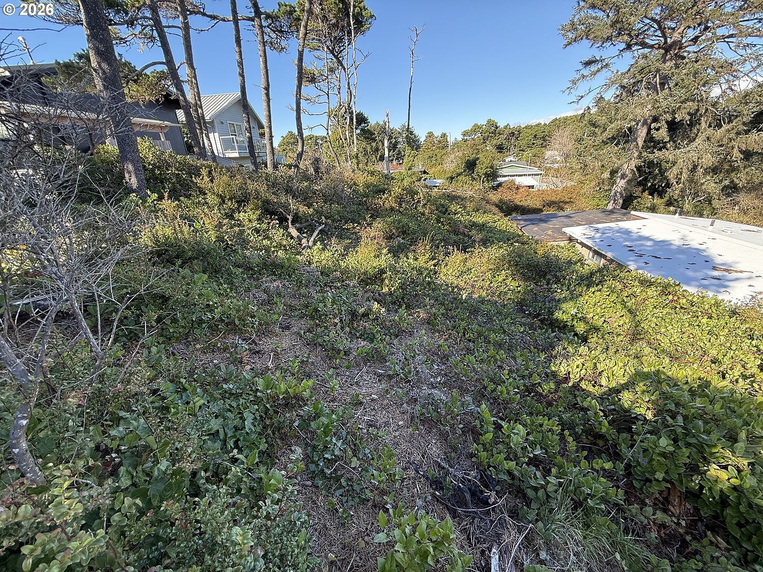 Arago St #2902 Florence, OR 97439 - Thumbnail 5