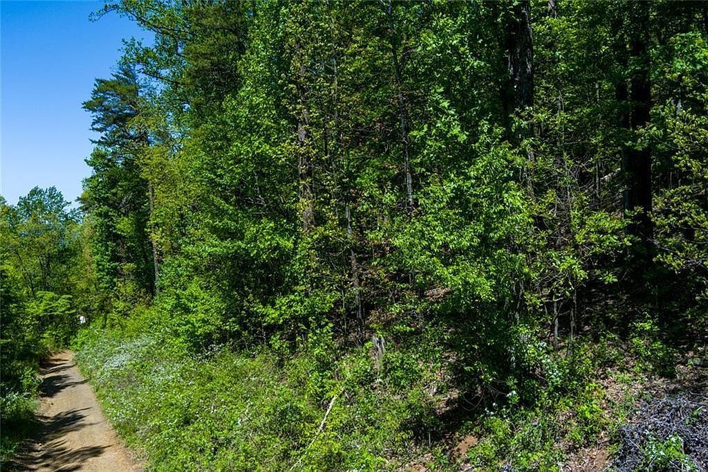 0 Fire Tower Rd Lot 7 Jasper, GA 30143 - Thumbnail 5