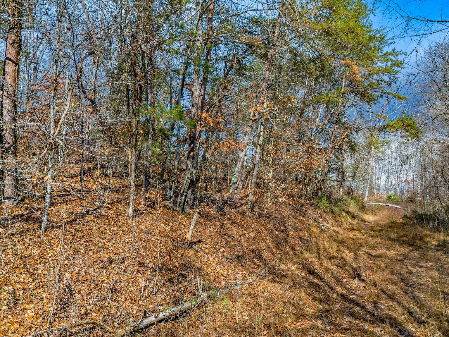 3278 Hillside Pl White Pine, TN 37890 - Thumbnail 5