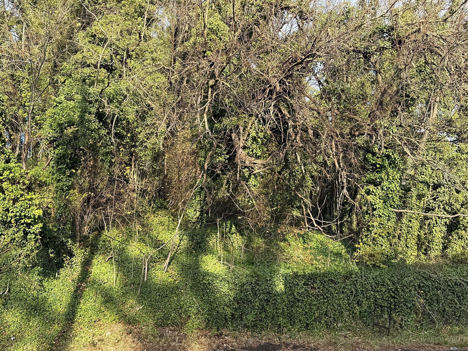 721 Moorman Ave NW LOT 12 Roanoke, VA 24016 - Thumbnail 5