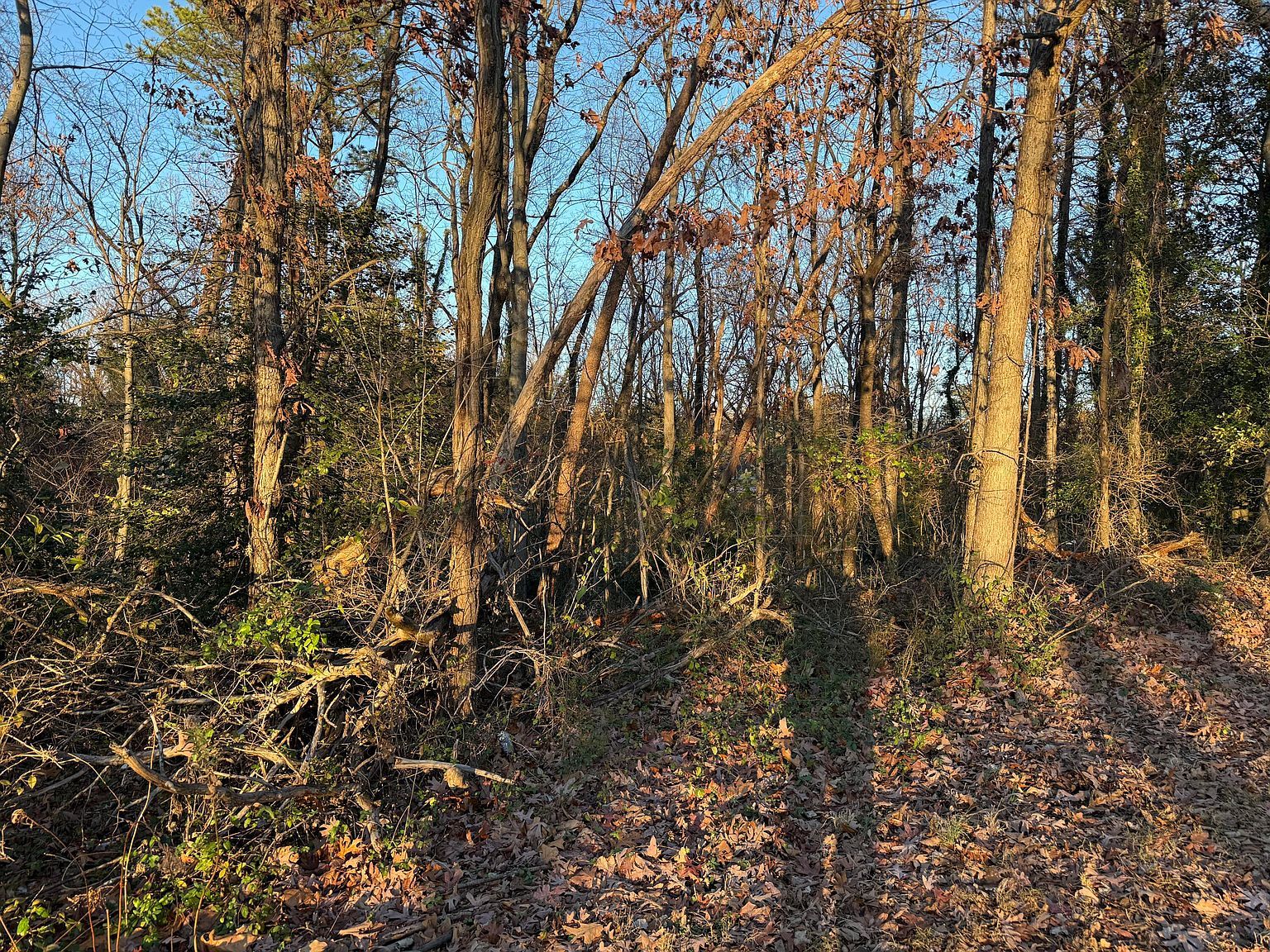 0 Panorama Ave NW Lot 6 Roanoke, VA 24017 - Thumbnail 5