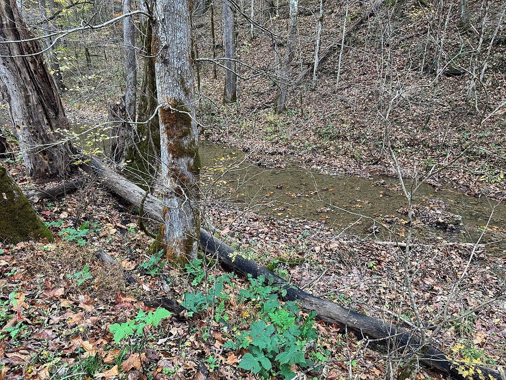 0 Pine Lick Rd Whitleyville, TN 38588 - Thumbnail 5