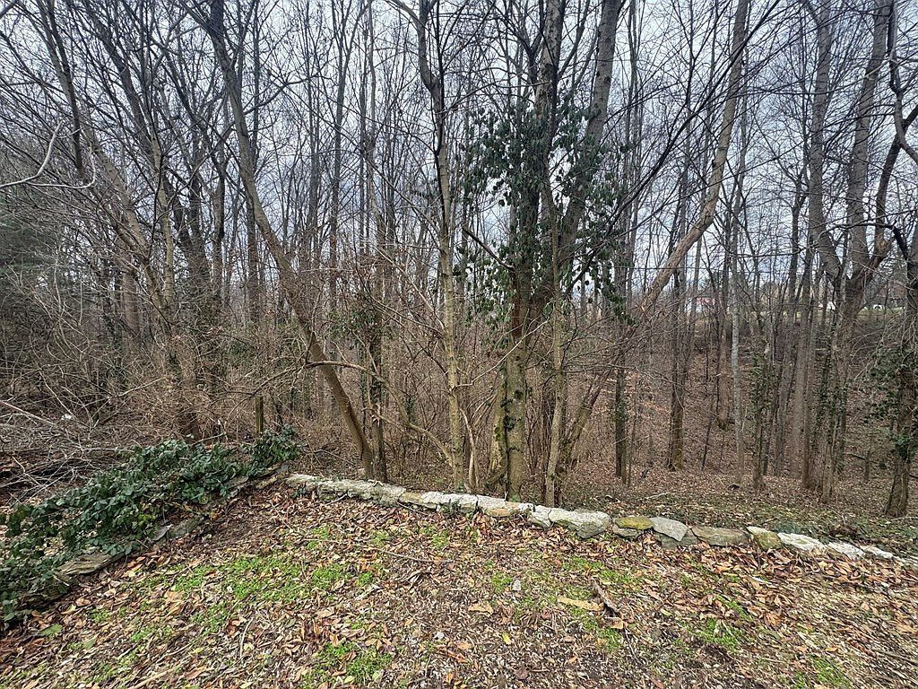 146 H Brown Ln Gainesboro, TN 38562 - Thumbnail 5
