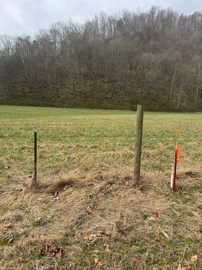 561 Pine Lick Rd Whitleyville, TN 38588 - Thumbnail 5