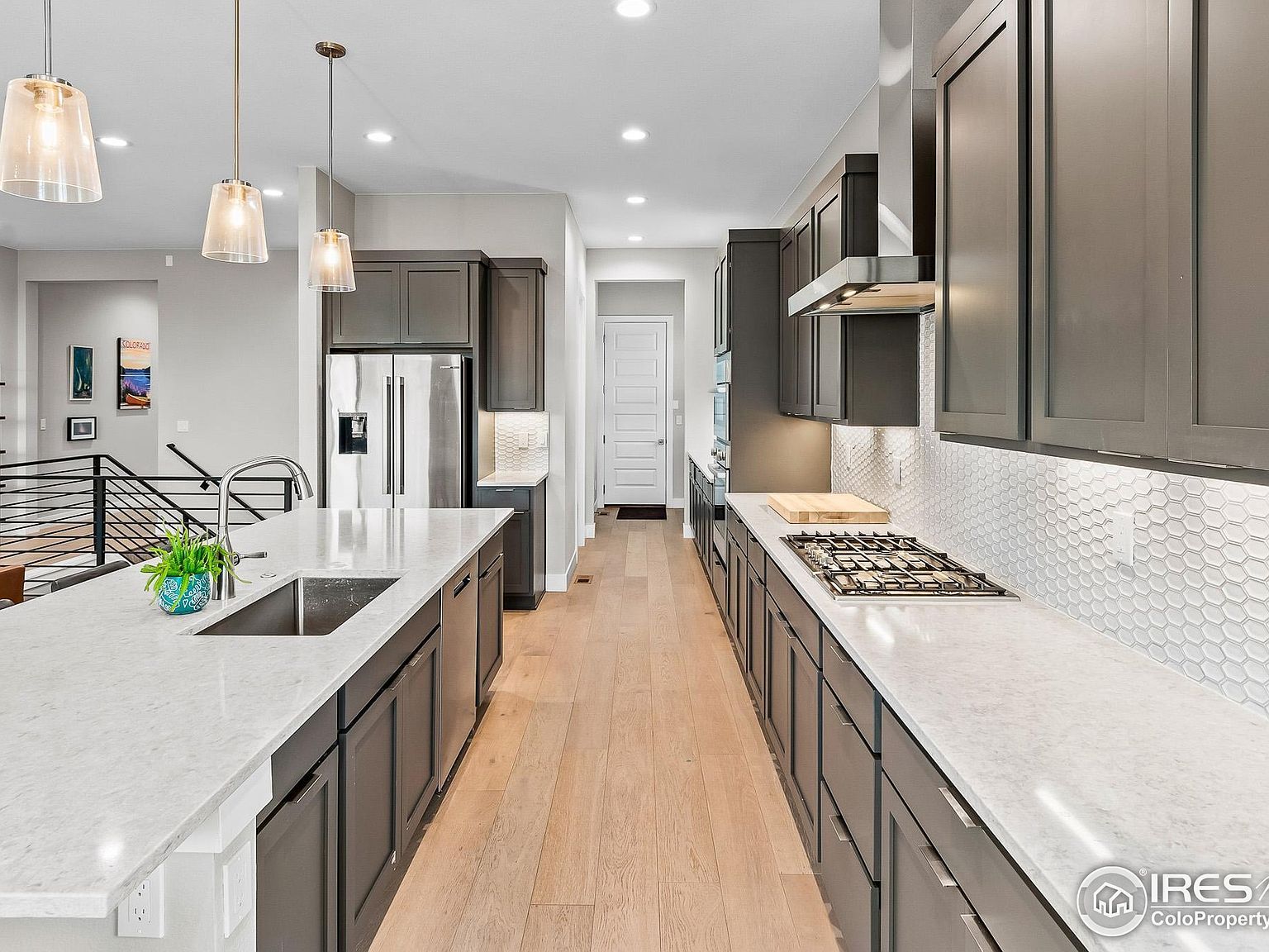 1869 Blossom Grove Dr Windsor, CO 80550 - Thumbnail 5