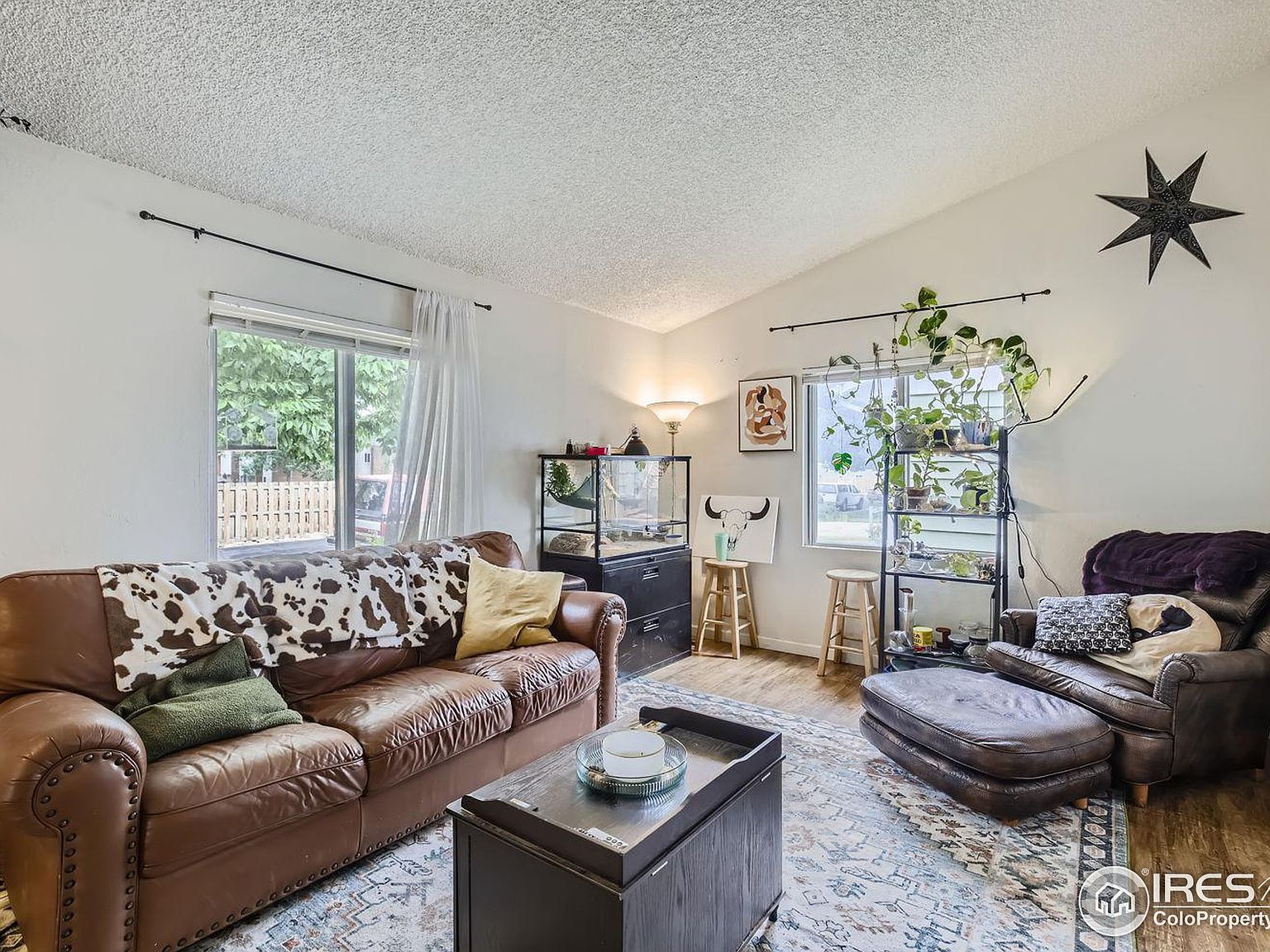 611 S Bryan Ave Fort Collins, CO 80521 - Thumbnail 5