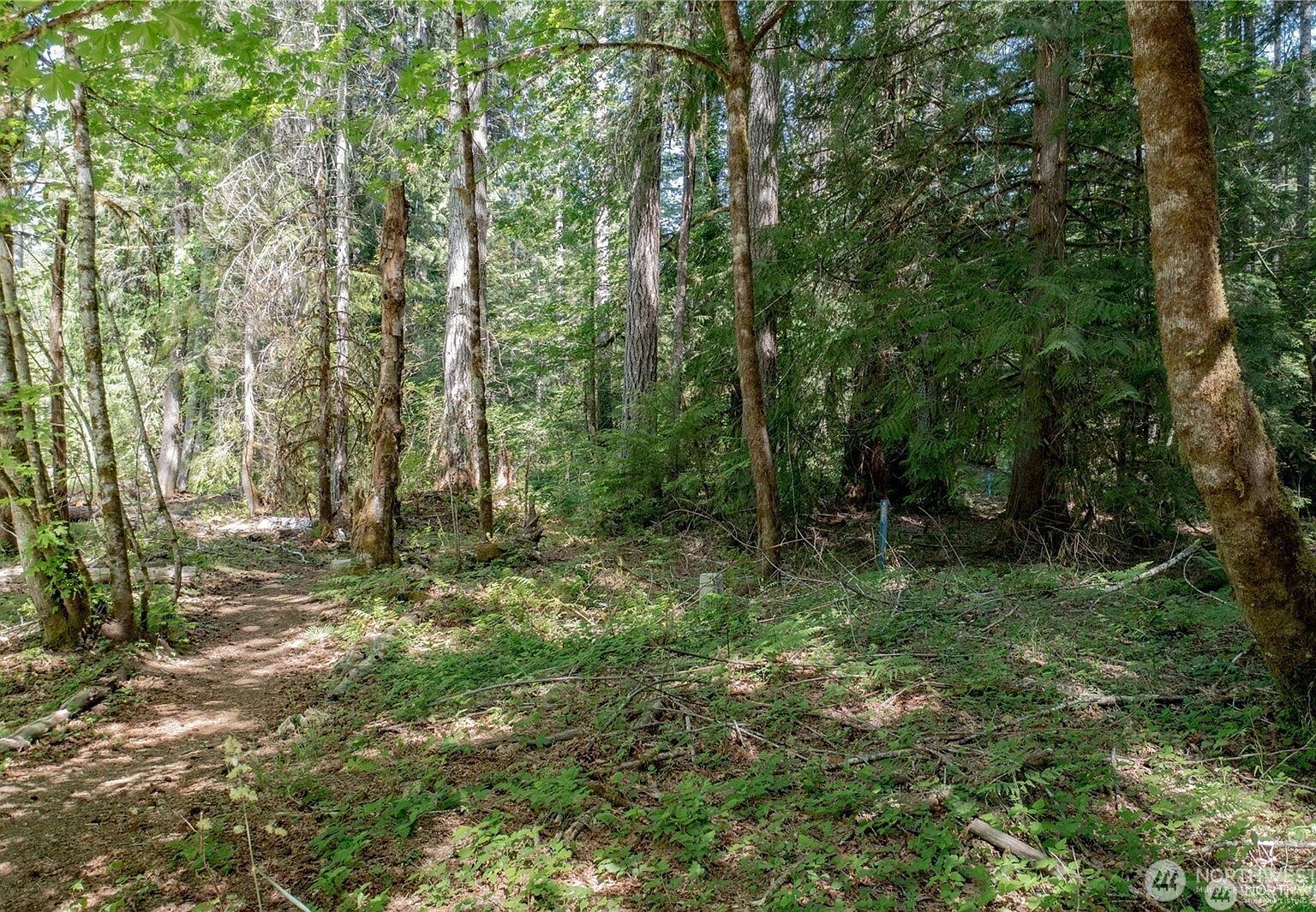 220 N Duckabush Dr W Hoodsport, WA 98548 - Thumbnail 5