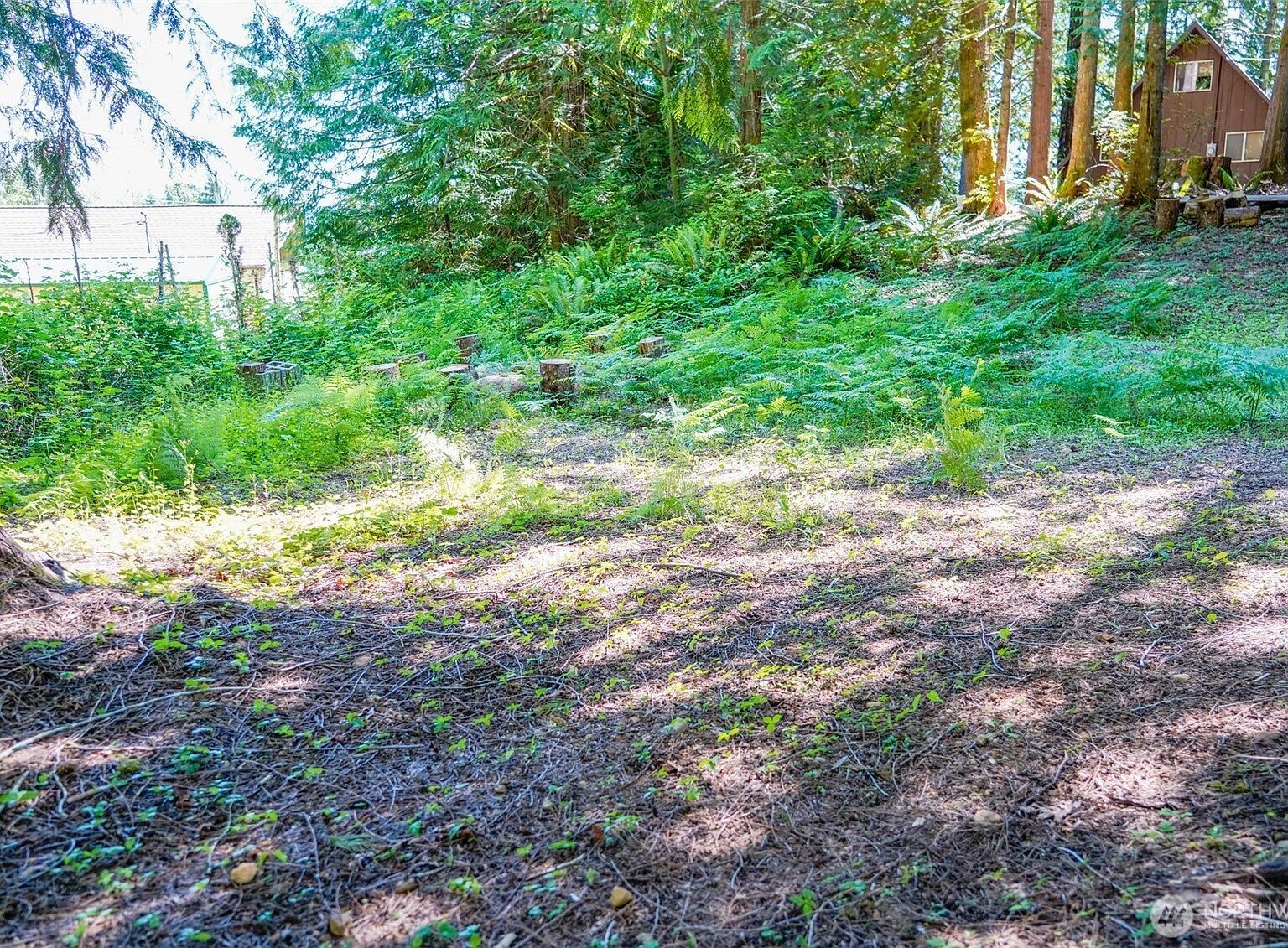 0 Maple Ave Brinnon, WA 98320 - Thumbnail 5