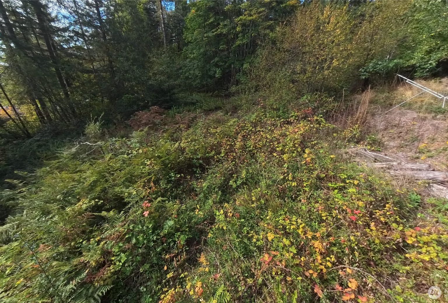 LOT 130 B Pln #15 Hoodsport, WA 98548  | Land/Lot