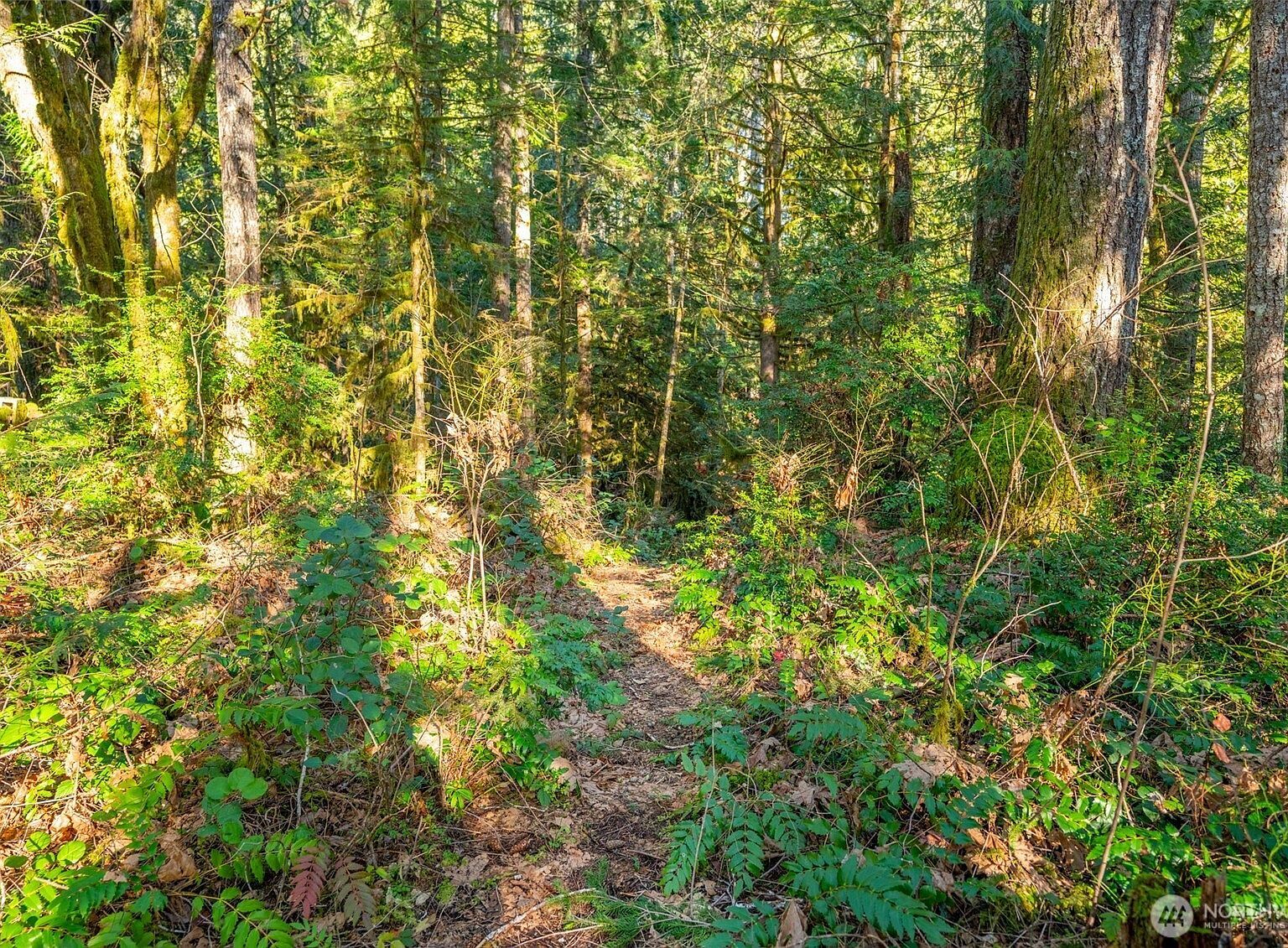 450 Mount Jupiter Ct Hoodsport, WA 98548 - Thumbnail 5