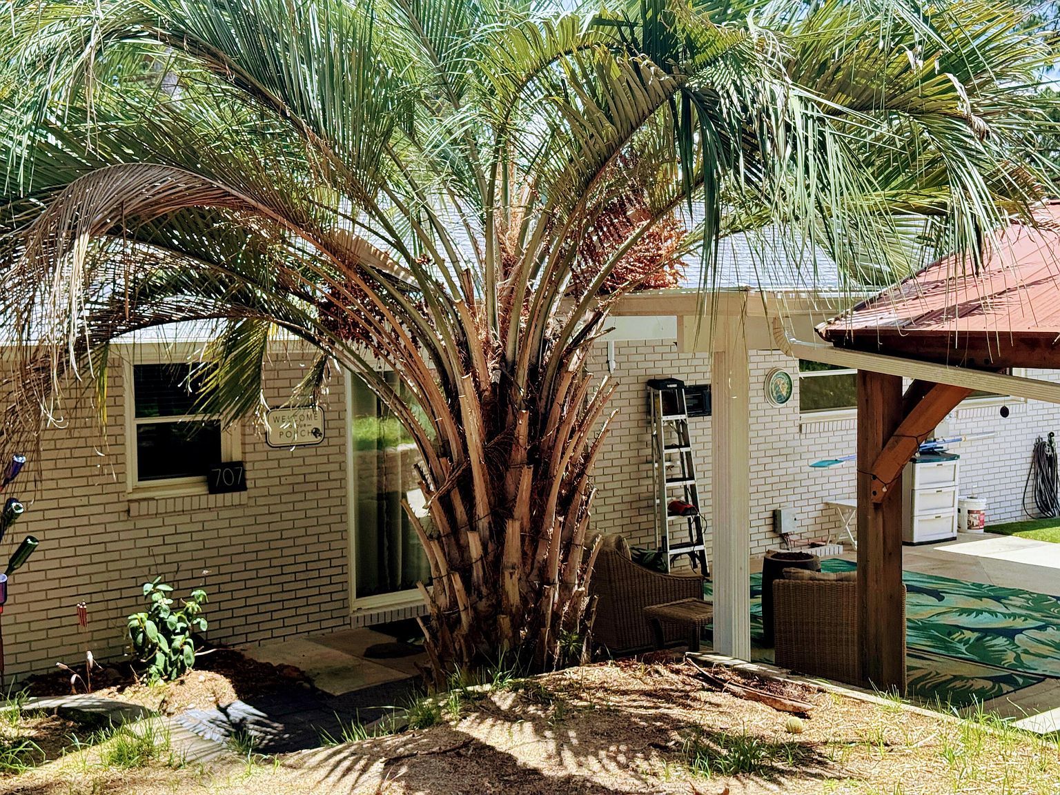 707 Pin Oak Dr Aiken, SC 29801 - Thumbnail 5