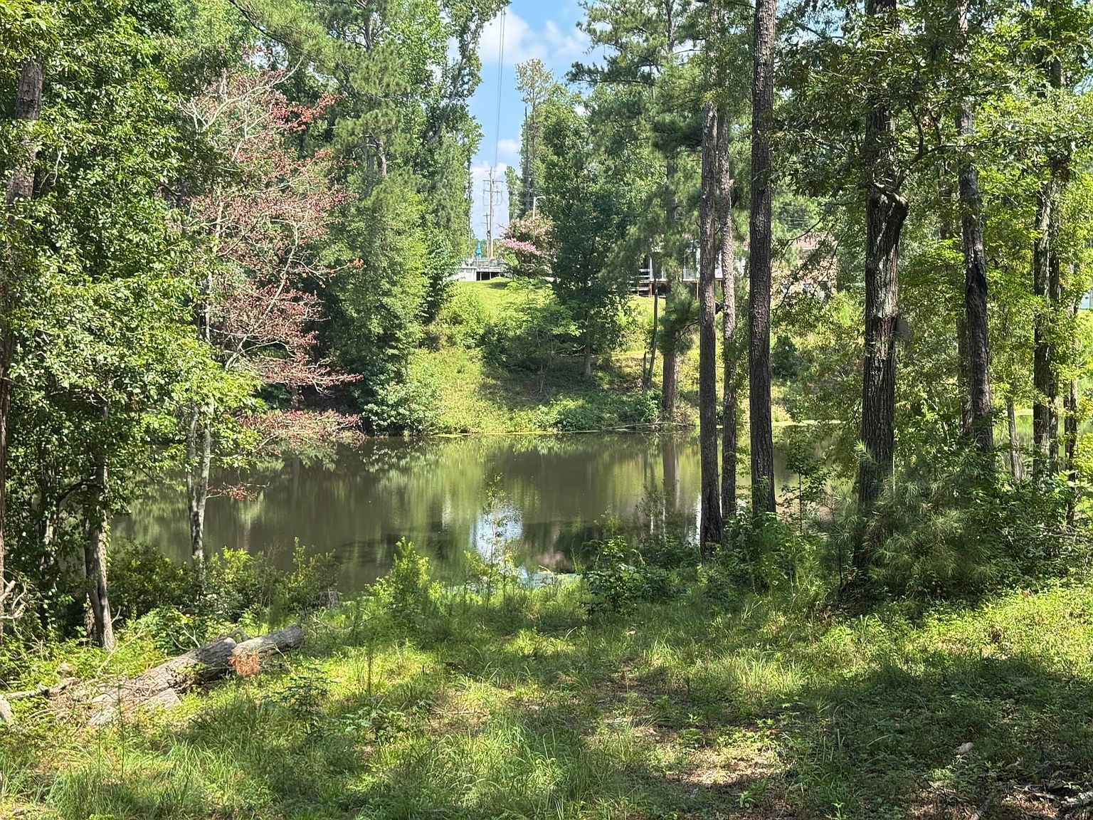 0 Hummingbird Dr Trenton, SC 29847  | Land/Lot