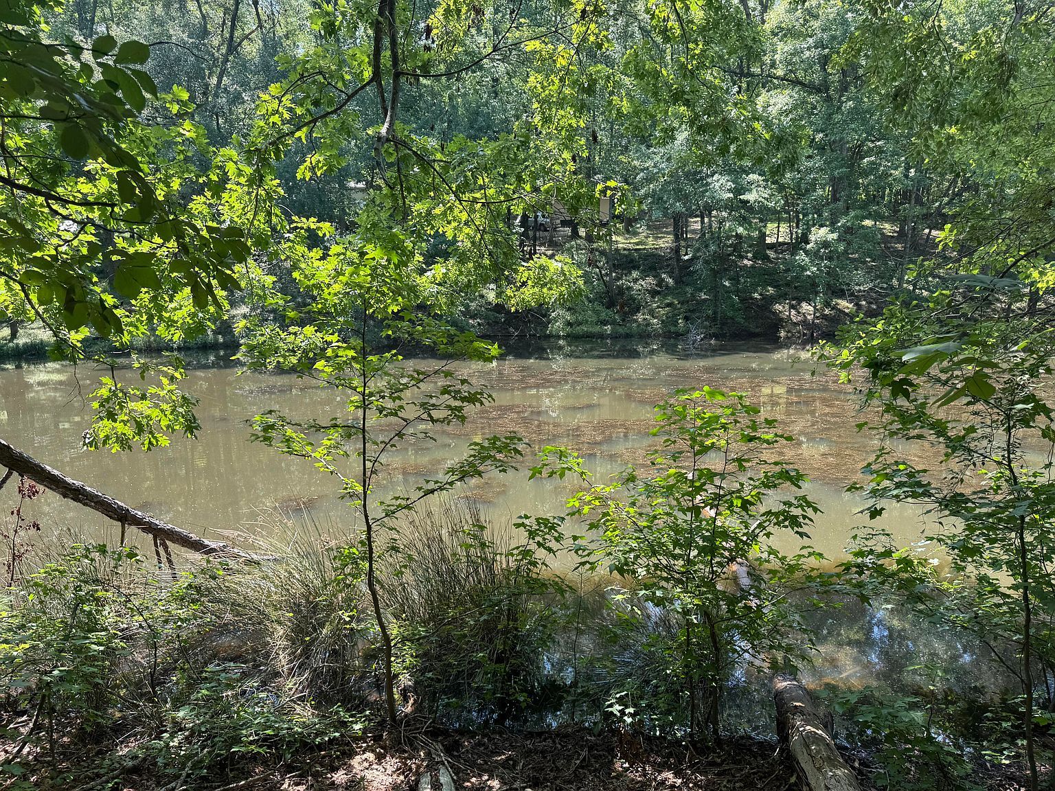 2 Cardinal Dr Trenton, SC 29847 - Thumbnail 5