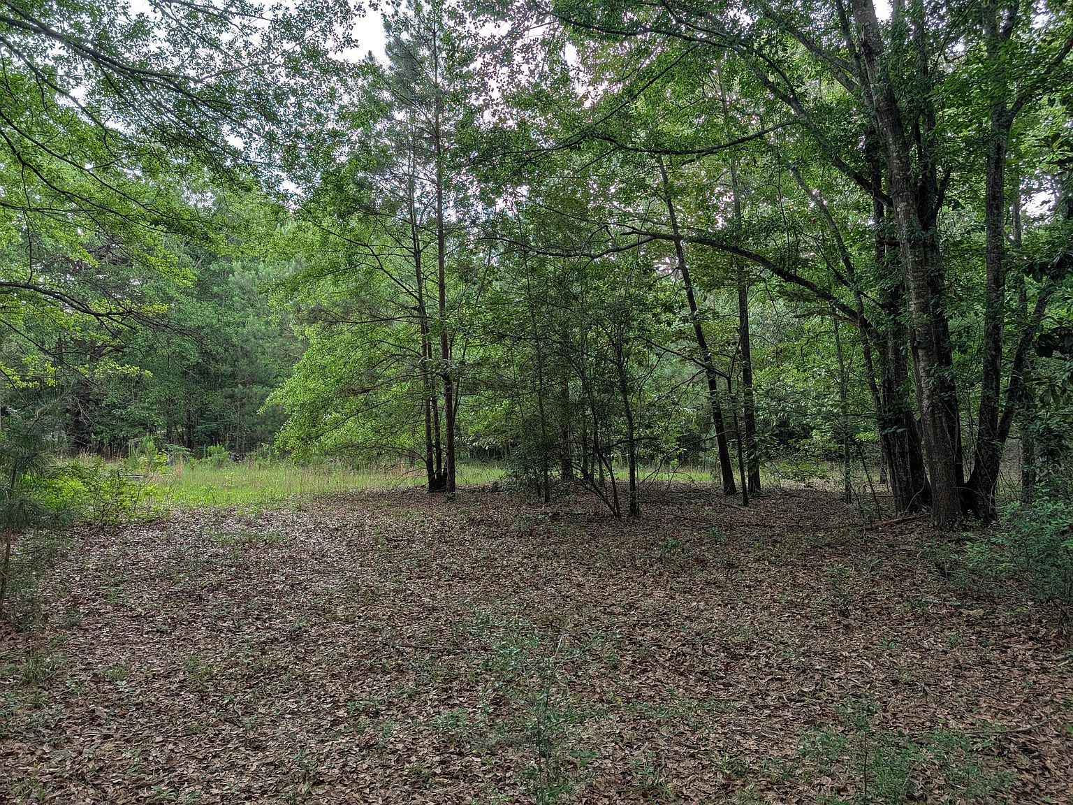 285 Garvin Dr Wagener, SC 29164 - Thumbnail 5