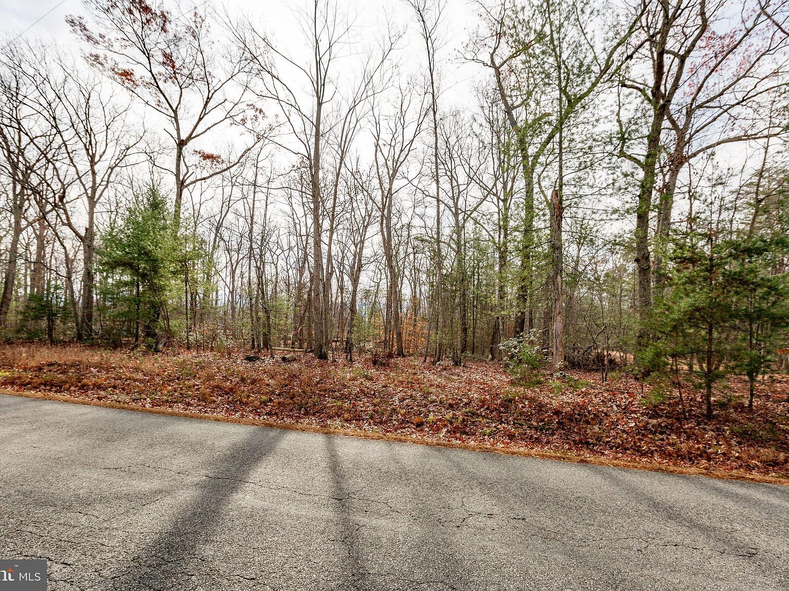 13600 Black Meadow Rd Spotsylvania, VA 22553 - Thumbnail 5