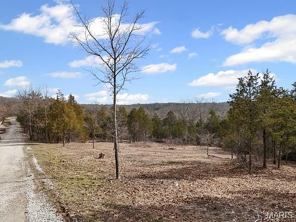 Cedar Ln Festus, MO 63028 - Thumbnail 5