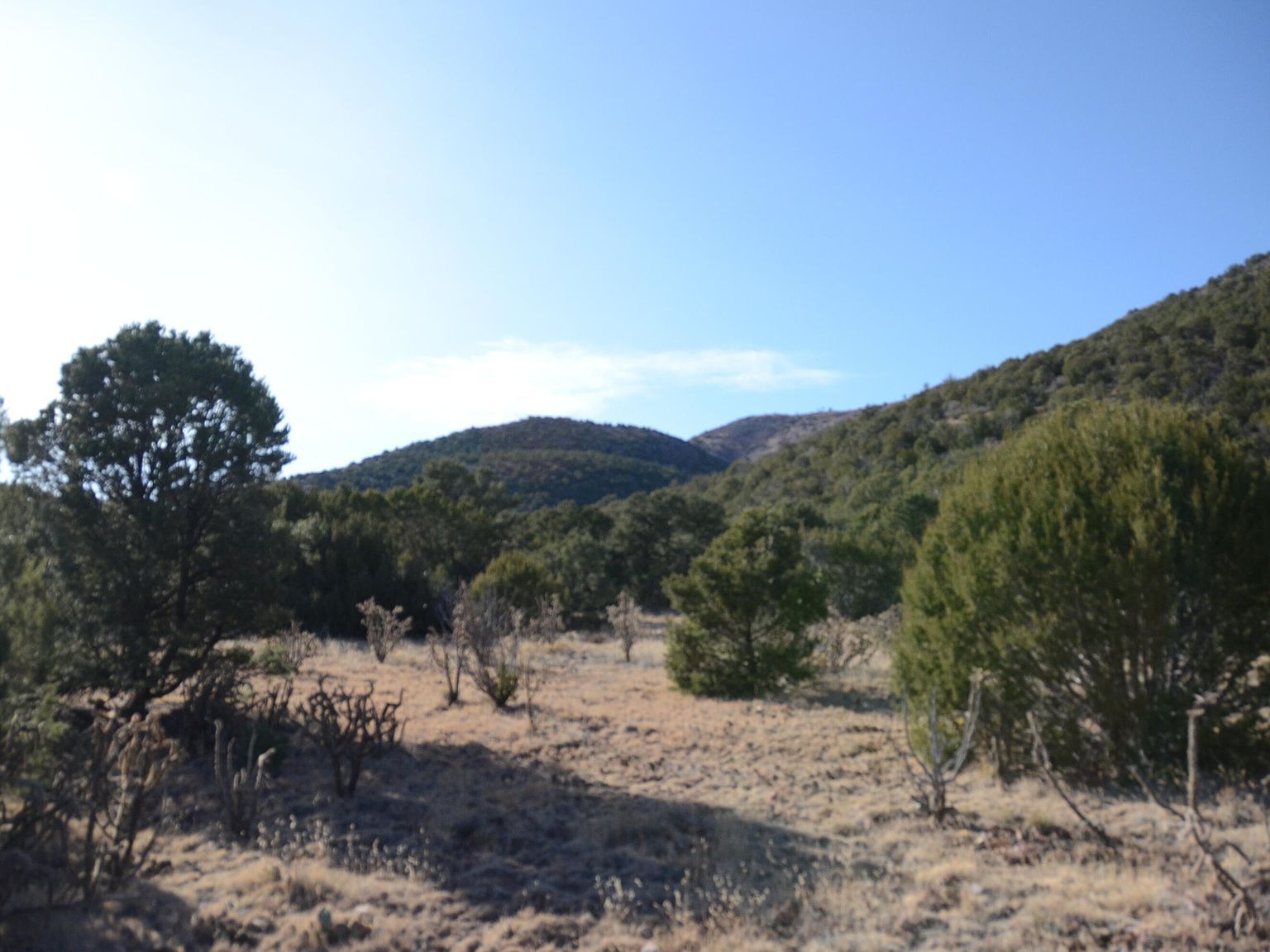 80 N Mountain Rd Edgewood, NM 87015 - Thumbnail 5