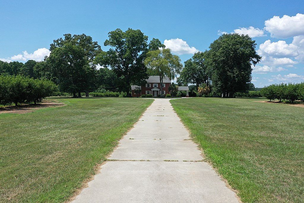 79 Pine House Rd Trenton, SC 29847 - Thumbnail 5